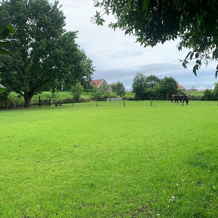 Luxury Guest House - Eik Aan De Dijk Aalst 外观 照片