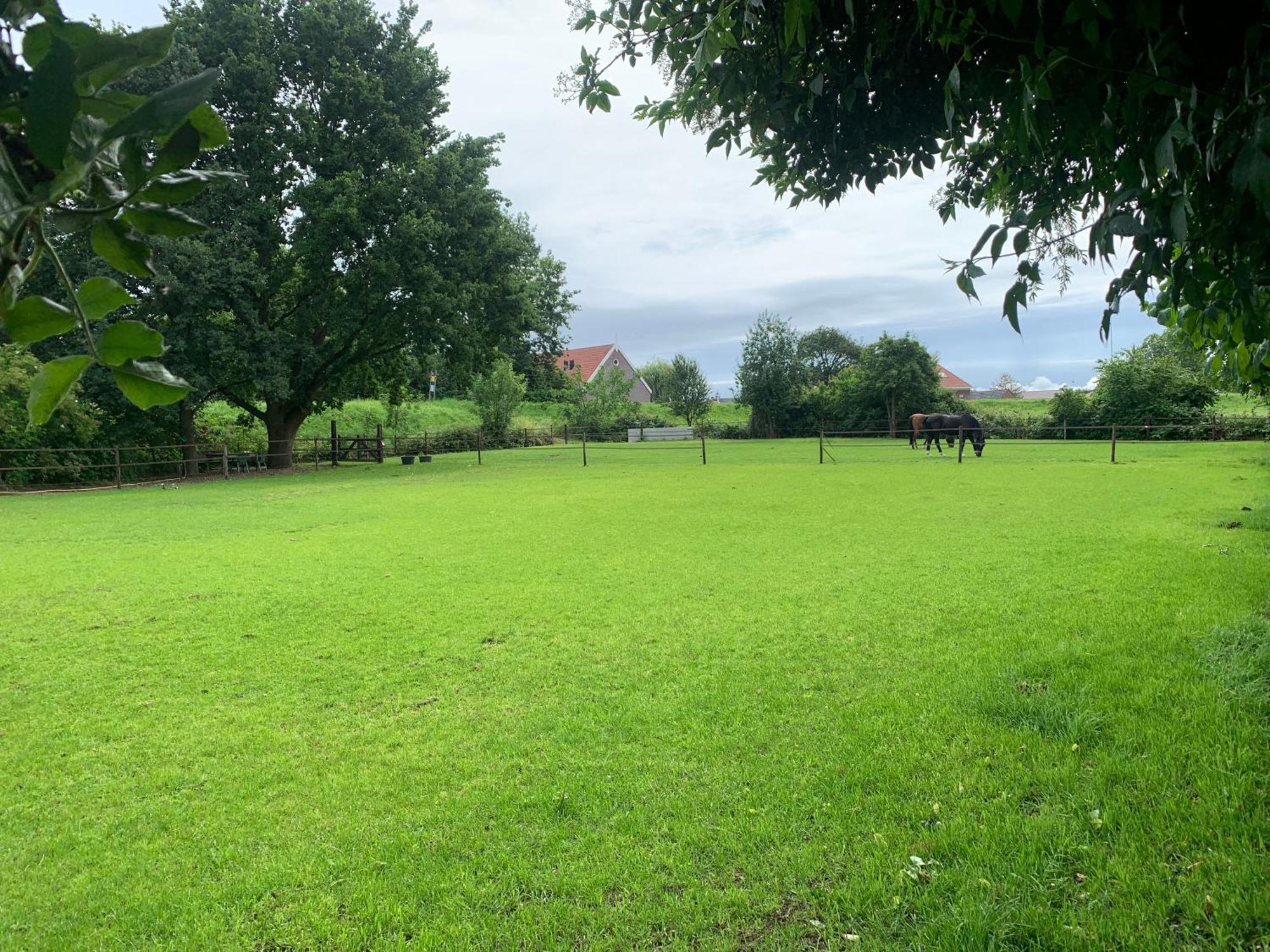 Luxury Guest House - Eik Aan De Dijk Aalst 外观 照片