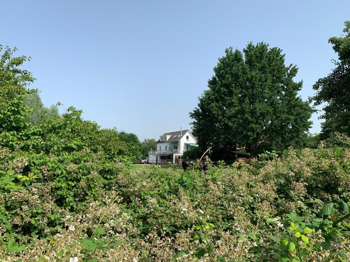 Luxury Guest House - Eik Aan De Dijk Aalst 外观 照片